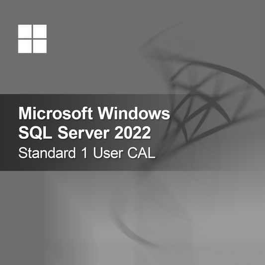 Microsoft SQL Server 2022 Standard 1 użytkownik CAL