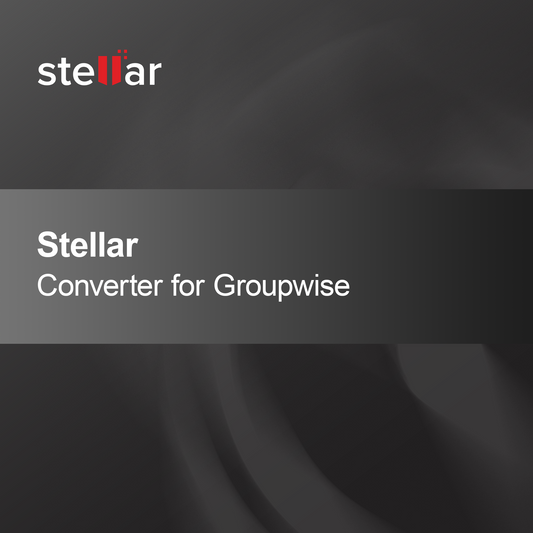 Stellar Converter dla Groupwise