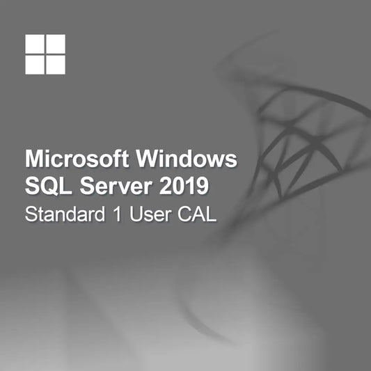 Microsoft SQL Server 2019 Standard 1 User CAL