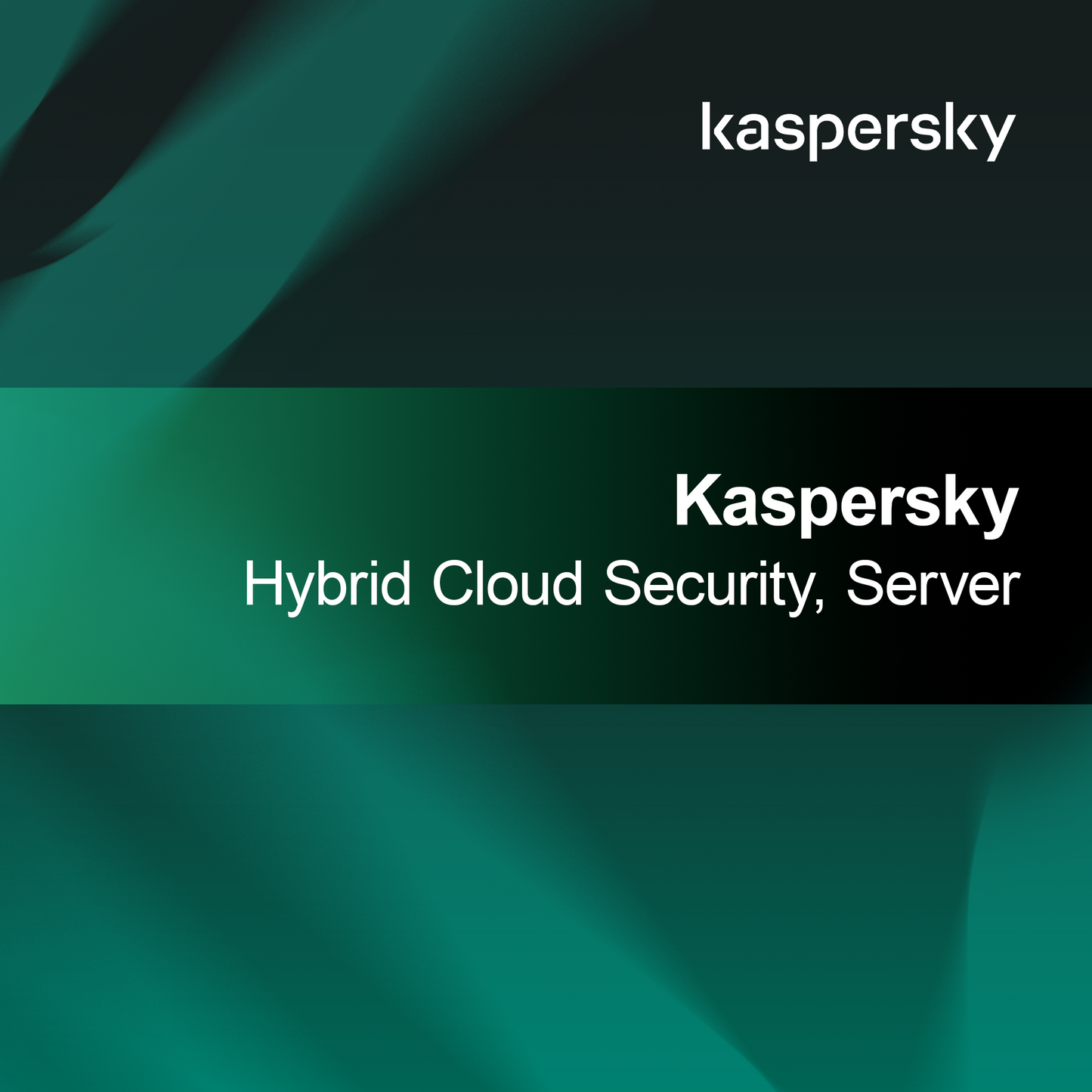Kaspersky Hybrid Cloud Security, Serwer