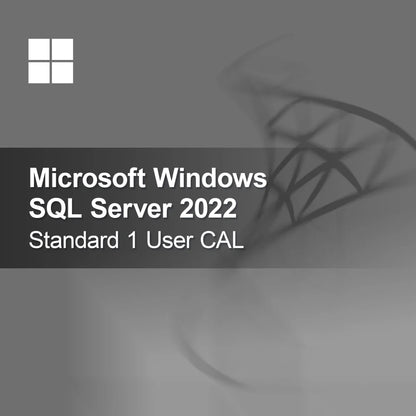 Microsoft SQL Server 2022 Standard 1 użytkownik CAL