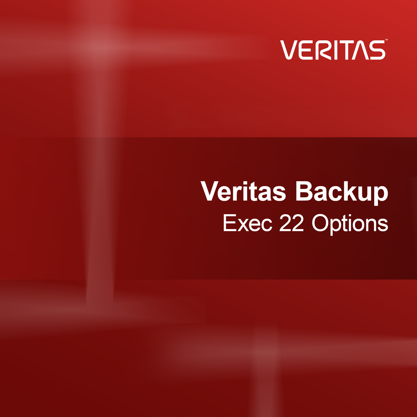 Opcje Veritas Backup Exec 22